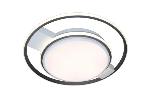 Светильник потолочный LED с пультом HIGH-TECH LED LAMPS 82001 Natali Kovaltseva белый на 1 лампу, основание белое чёрное в стиле хай-тек с пультом кольца фото 4